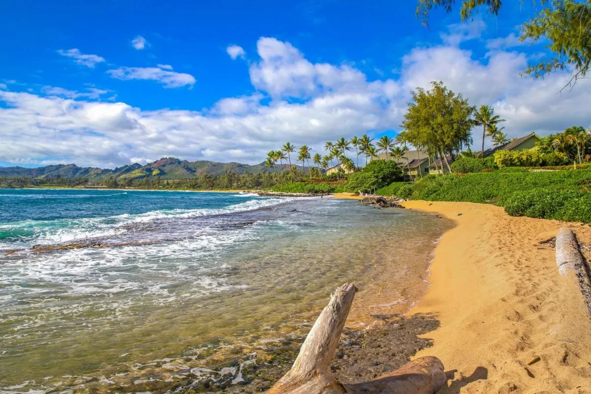 Image 3 of Islander On The Beach 232