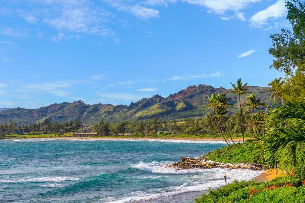 Image 6 of Islander On The Beach 232