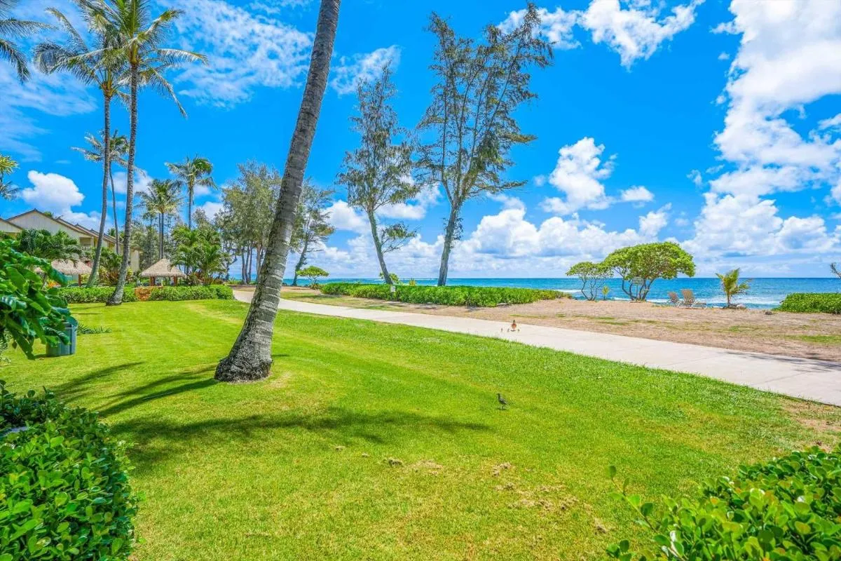 Image 3 of Islander on the Beach 152