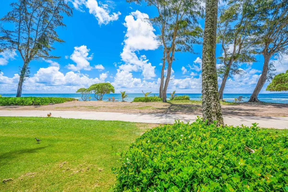 Image 4 of Islander on the Beach 152