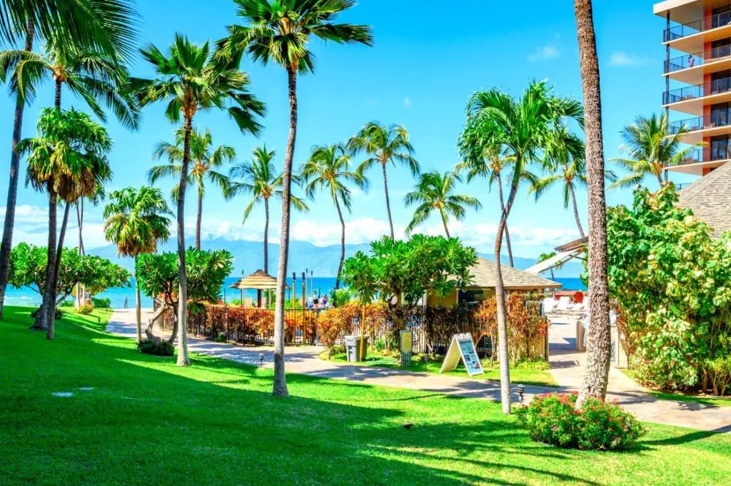 Image of KBM Resorts: Kaanapali Shores KS-155 Ground Floor Steps to Pool and Beach Includes Rental Car