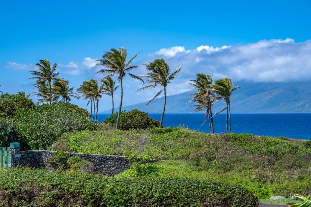 Image 1 of KBM Resorts: Kapalua Bay Villa KBV-37B3 Beautifully Remodeled Ocean View Includes Rental Car