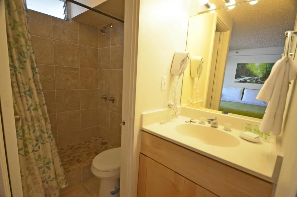 Image 3 of KV702 Waikiki Private Waterfall Room, Mountain View!