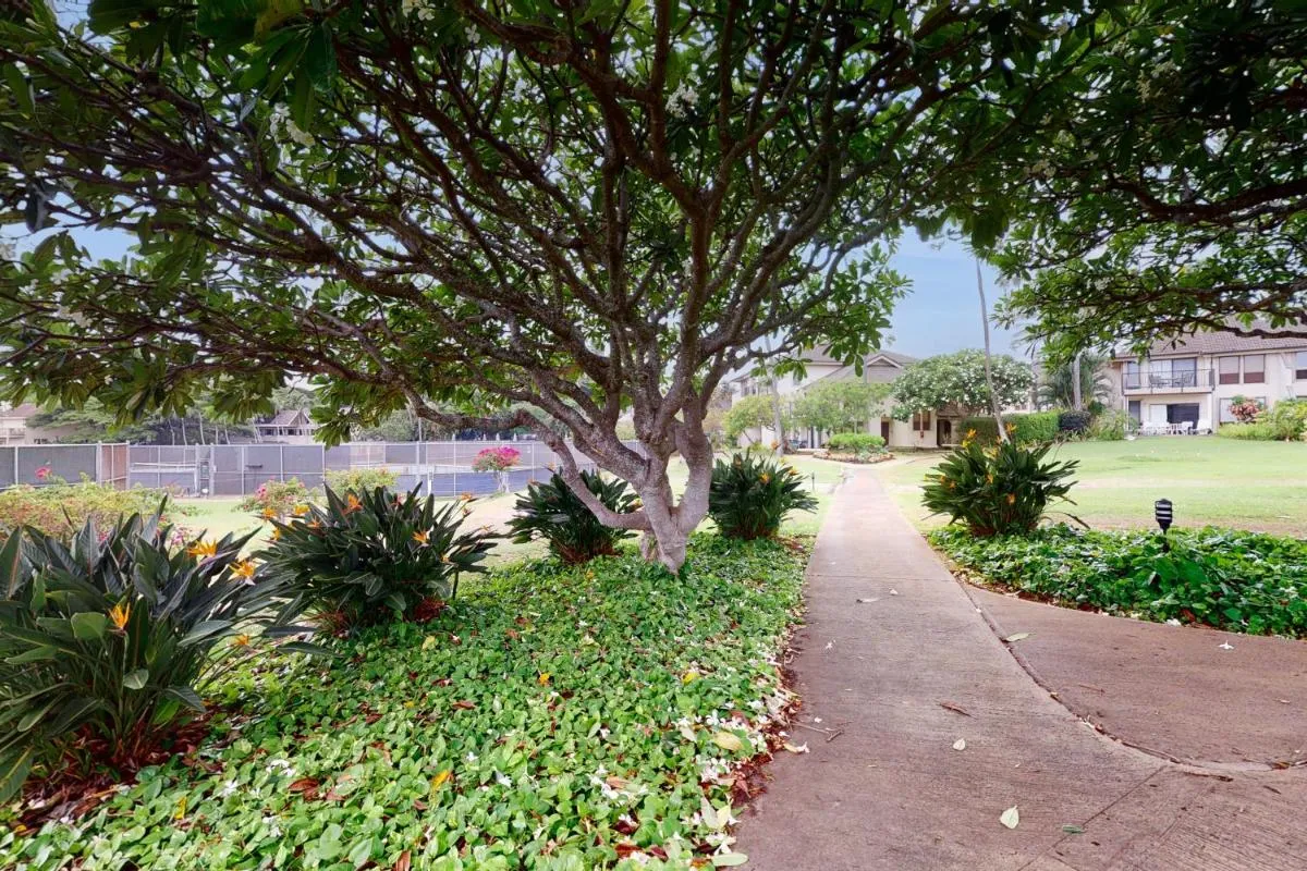 Image 3 of Kahala #214