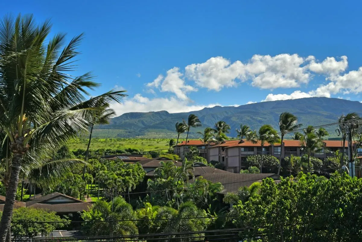 Image 6 of Kaleialoha 402