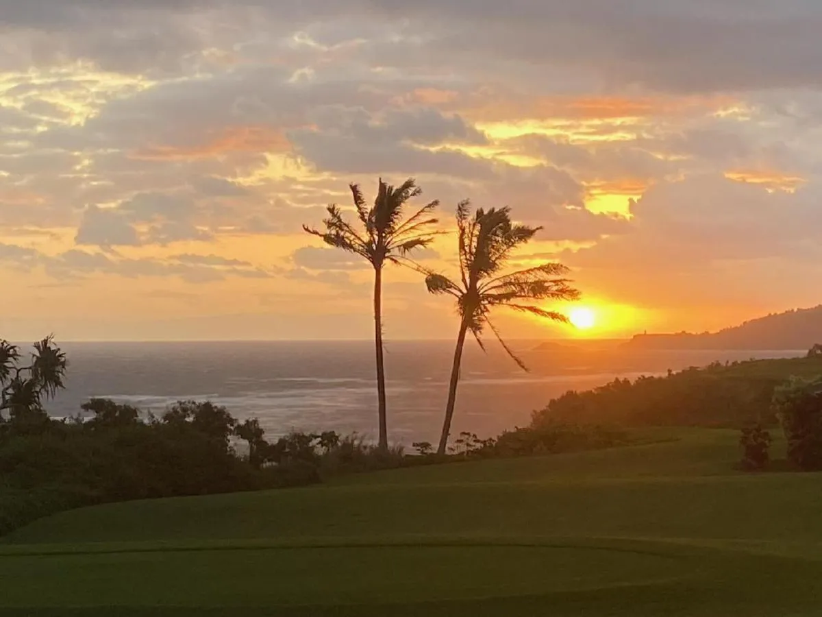 Image 4 of Kamahana 24