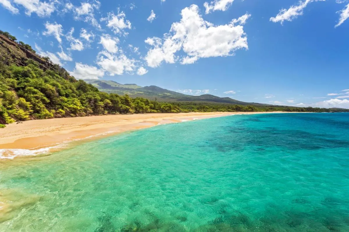 Image 3 of Kamaole Sands 10-311