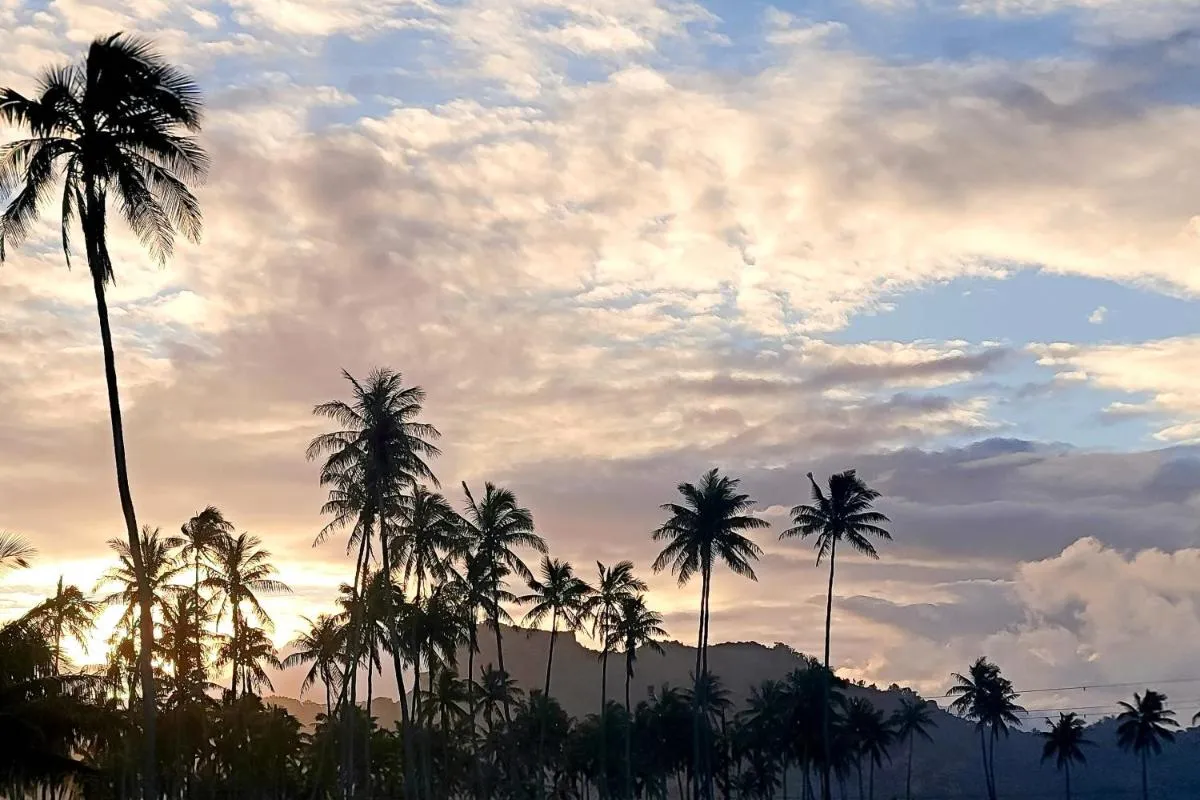 Image 1 of Kapa’a Captivation