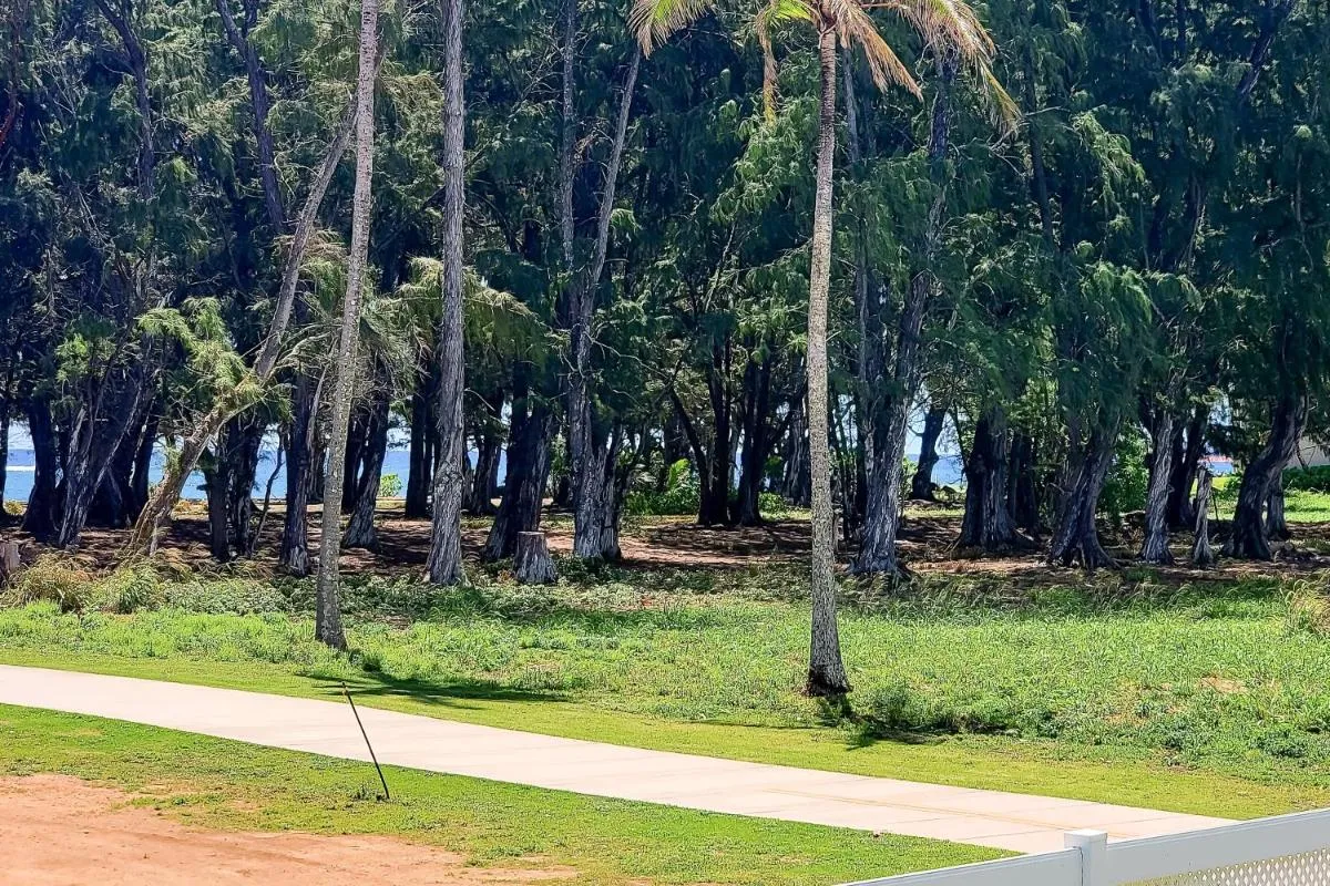 Image 2 of Kapa’a Captivation