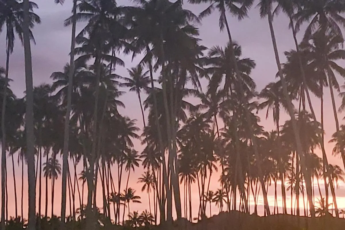 Image 3 of Kapa’a Captivation