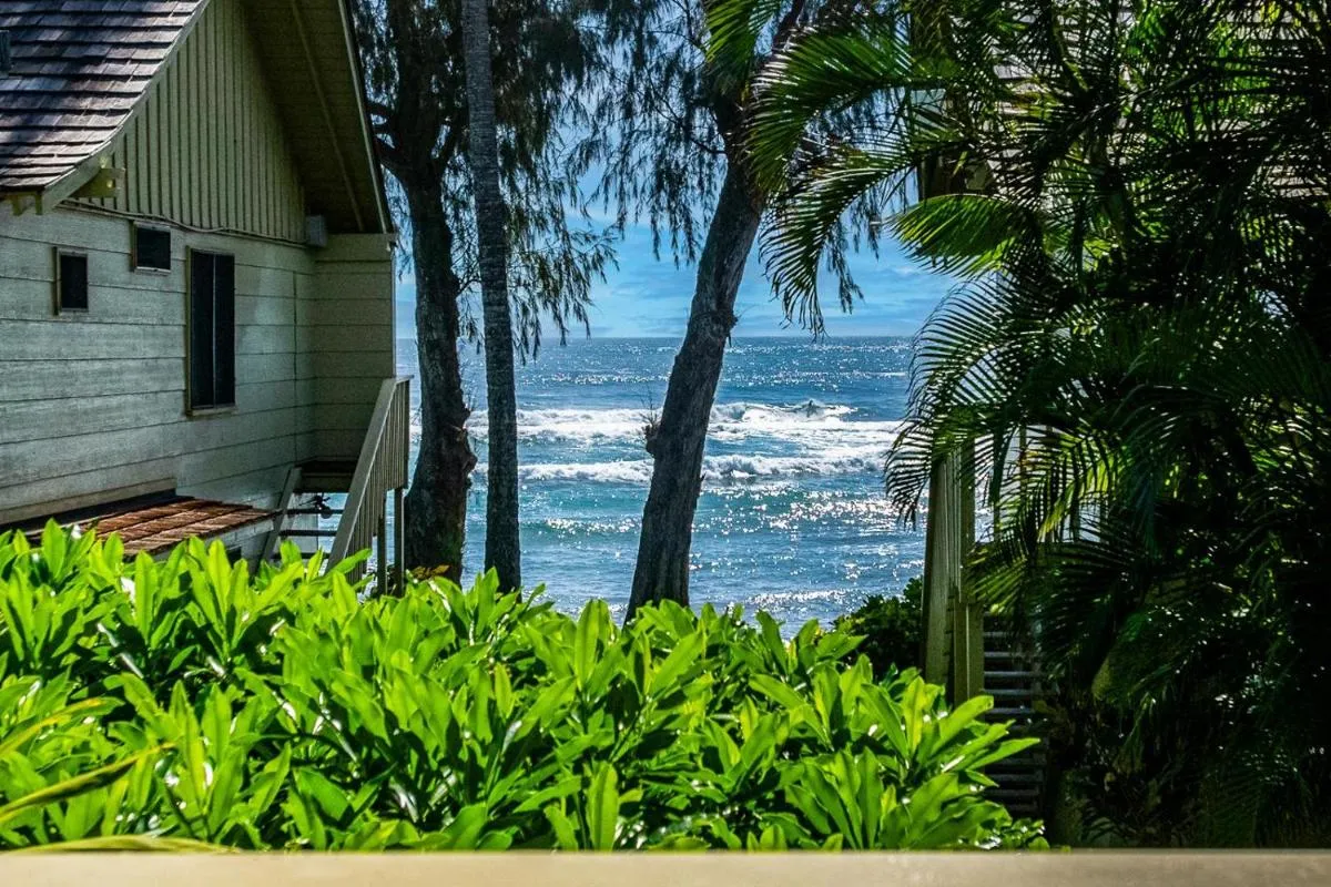 Image 1 of Kapaa Sands 17