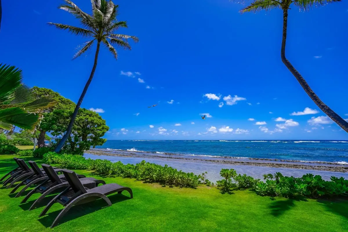 Image 3 of Kauai Kalani