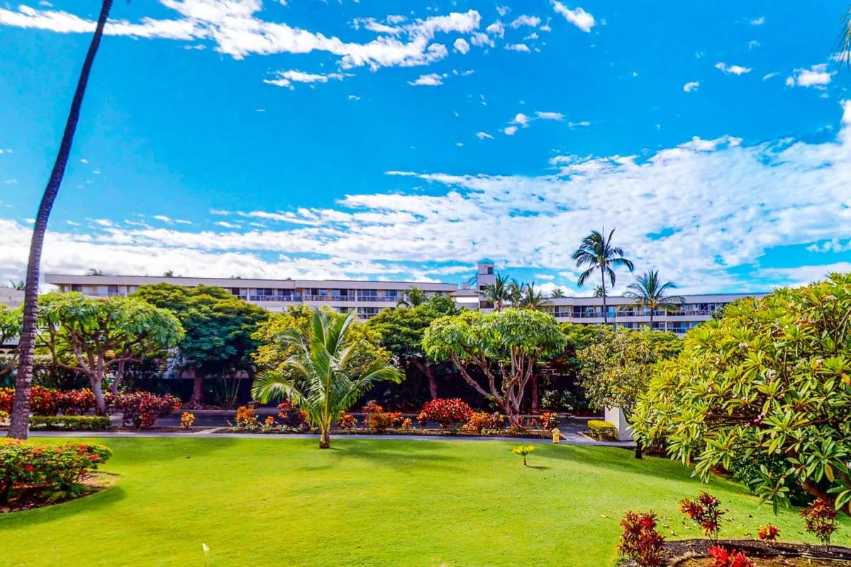 Image 5 of Kihei Akahi