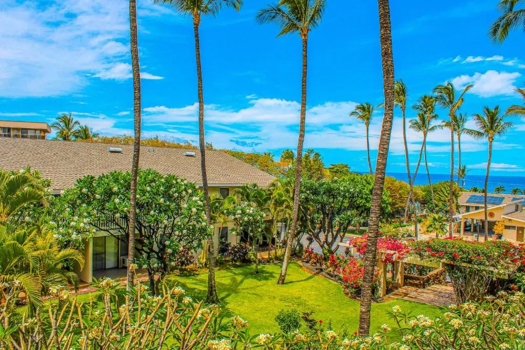 Image of Kihei Akahi