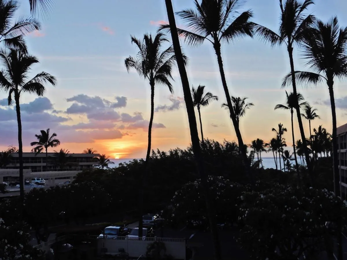 Image 1 of Kihei Akahi D-211