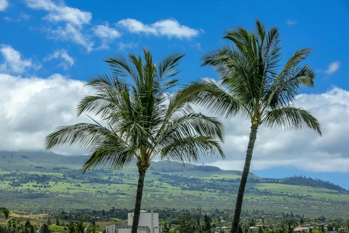 Image 1 of Kihei Akahi by Coldwell Banker Island Vacations