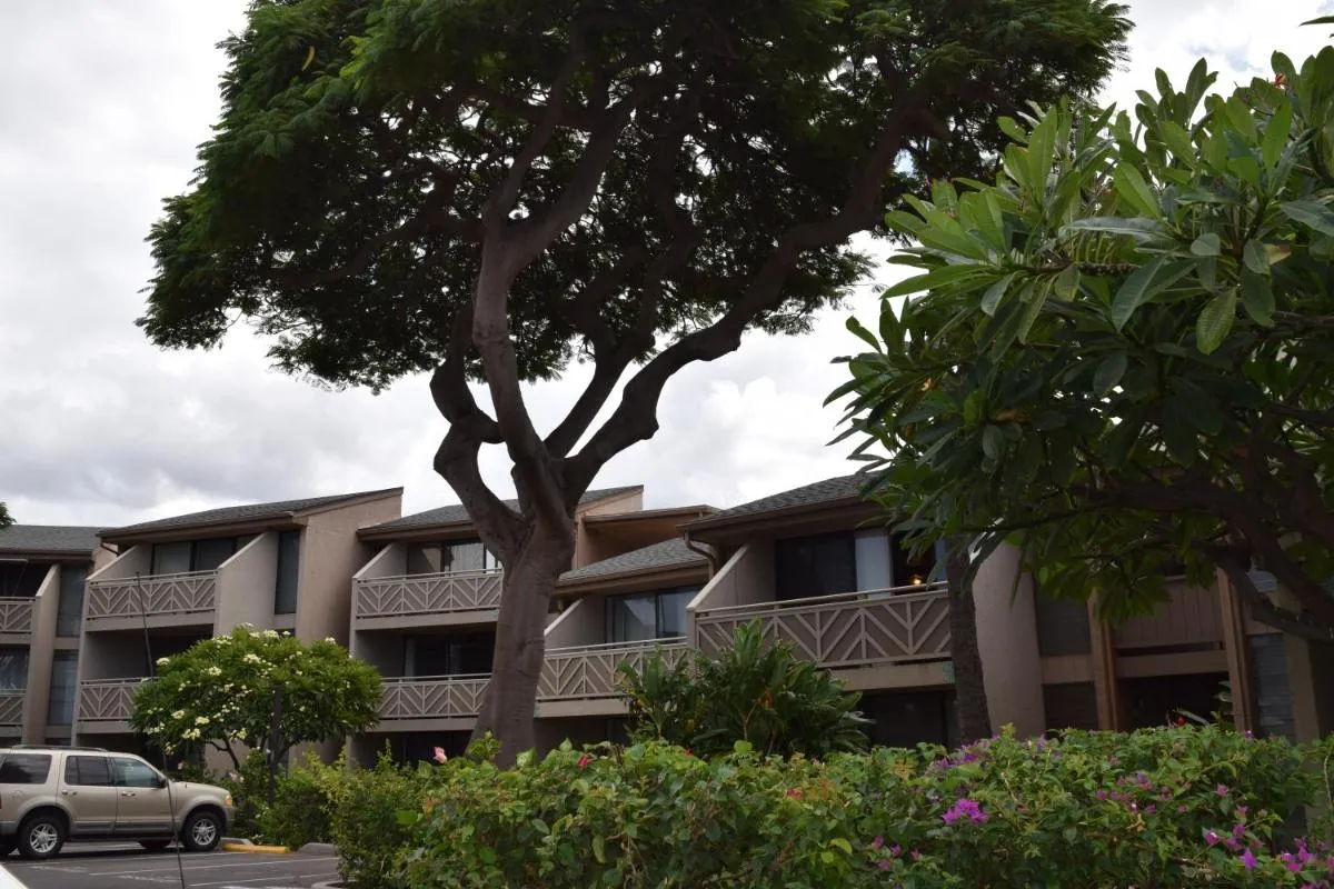 Image 3 of Kihei Holiday 116