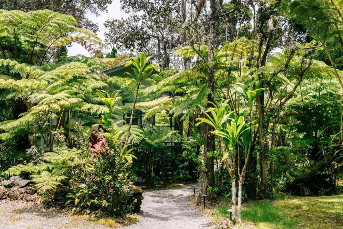 Image 4 of Kilauea Lodge and Restaurant