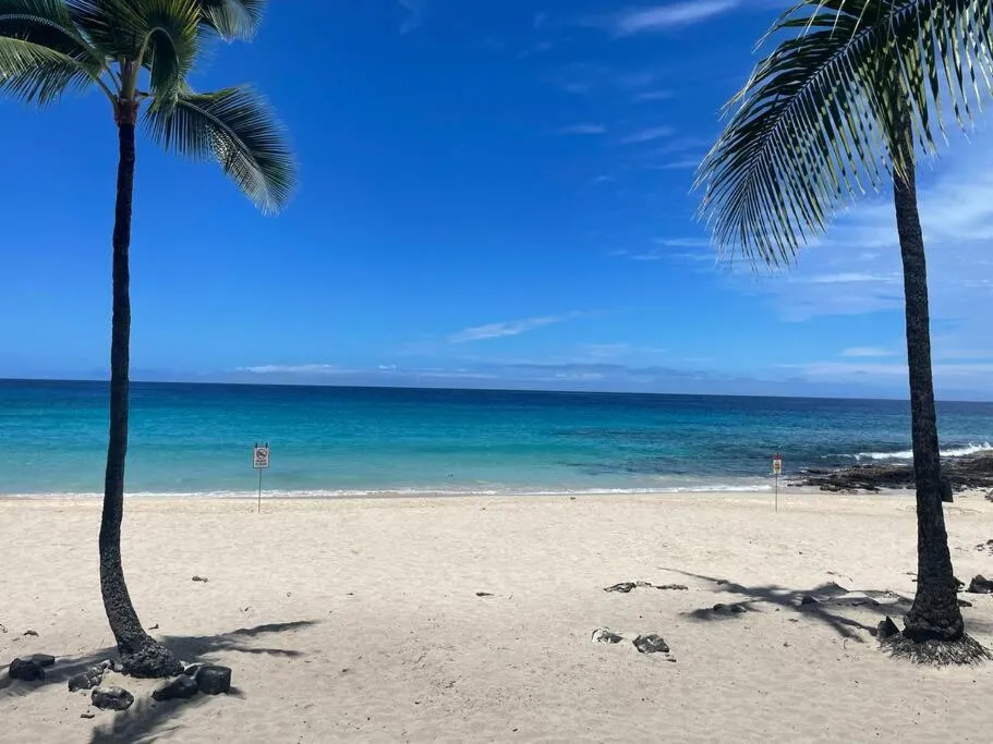 Image 6 of King Palm Ocean views King bed walk to beach Free WIFI parking BBQ