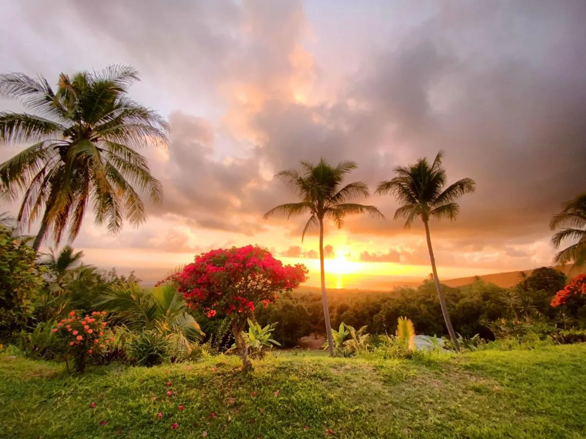 Image 6 of Kona Bayview Inn