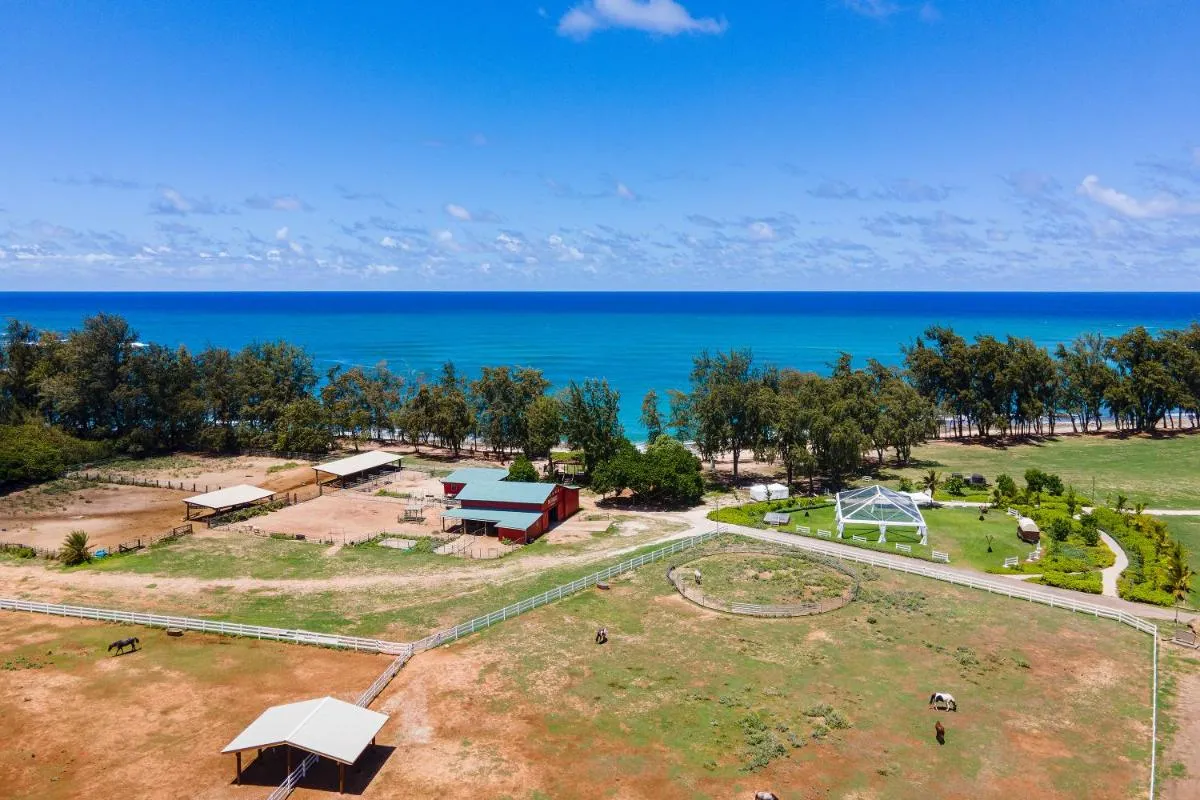 Image 3 of Kuilima Estates West 85