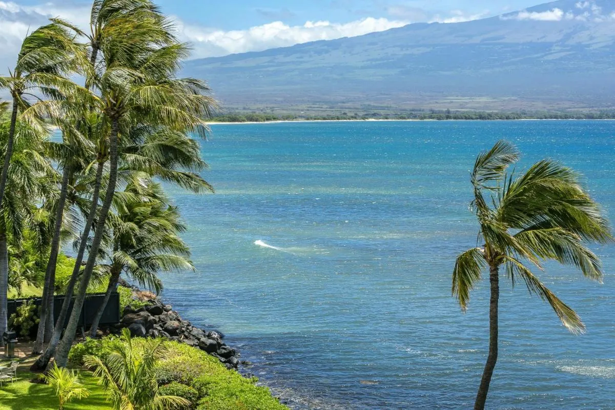 Image 2 of Maalaea Banyans by Coldwell Banker Island Vacations