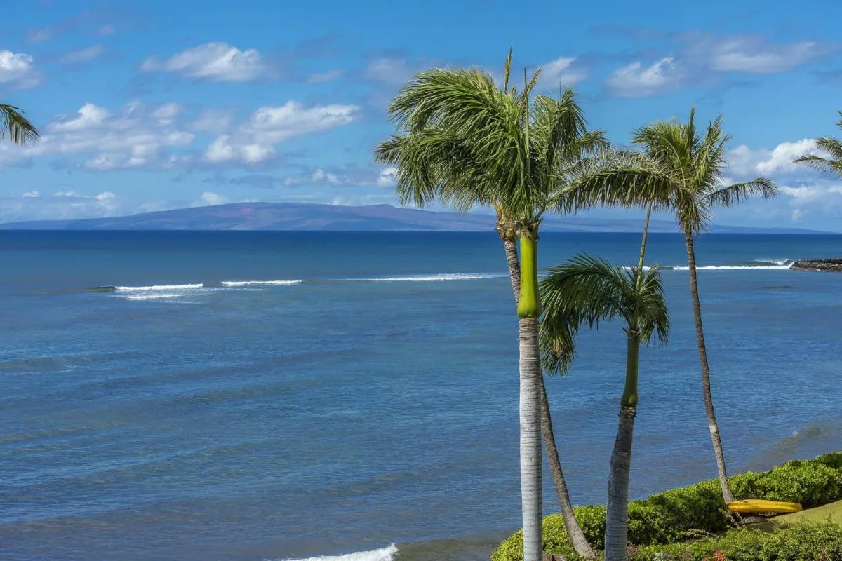 Image 5 of Maalaea Banyans by Coldwell Banker Island Vacations