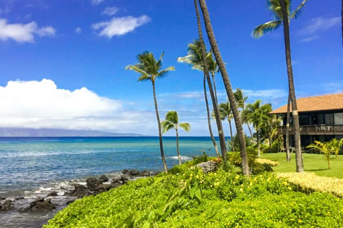 Image 5 of Mahina Surf