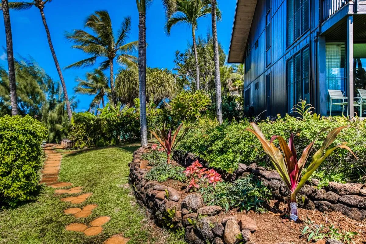 Image 6 of Mahina Surf