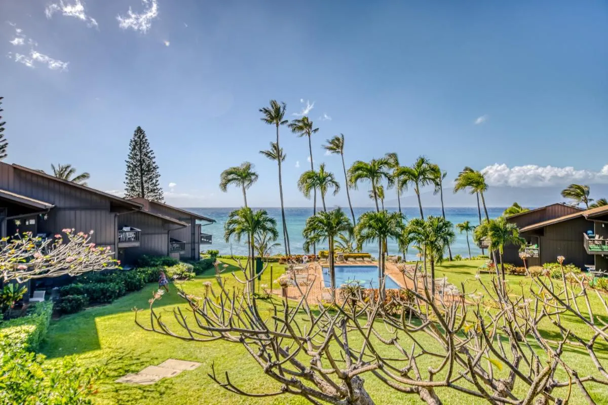 Image 4 of Mahina Surf