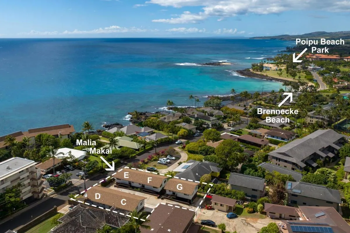 Image 3 of Malia Makai – E – Egret