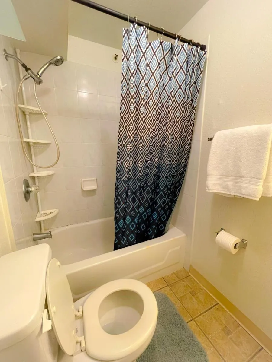 Image 6 of Marvelous Mountain View Studio condo