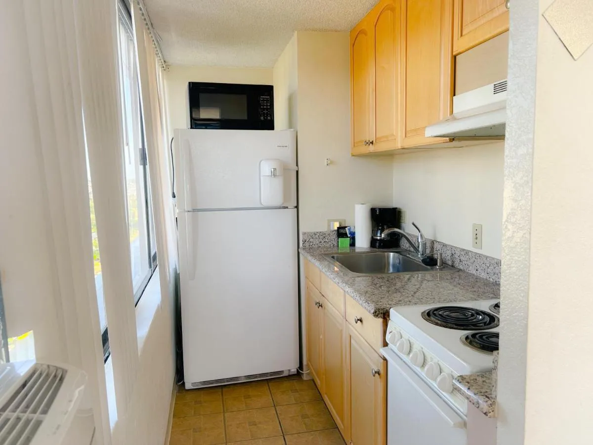 Image 4 of Marvelous Mountain View Studio condo