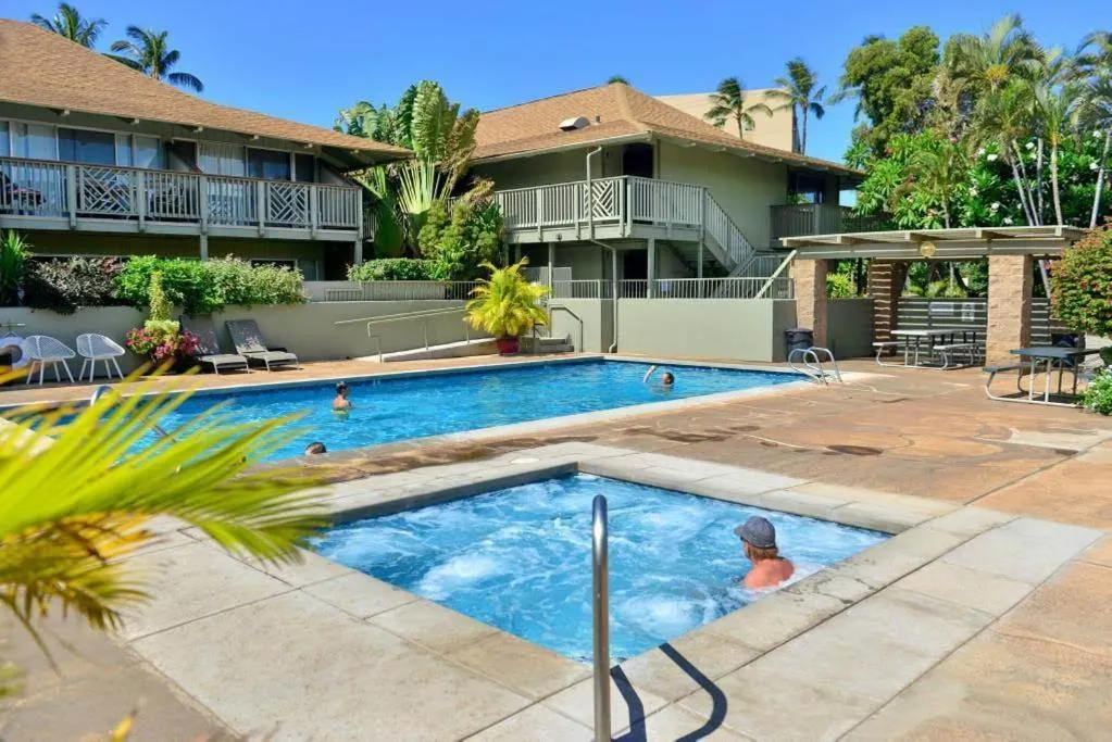 Image of Maui Diver’s Dream at Kihei Bay Surf