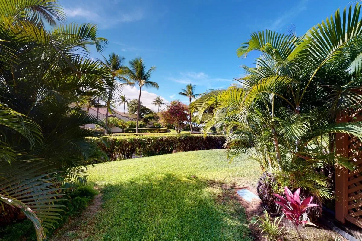 Image 4 of Maui Kamaole