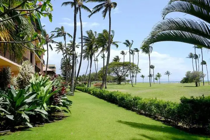 Image 3 of Maui Schooner Resort
