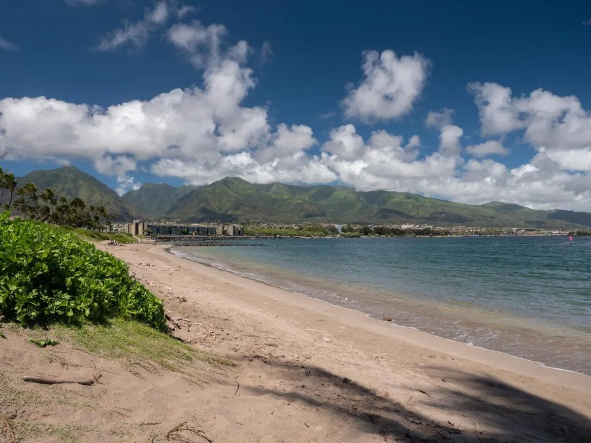 Image 1 of Maui Seaside Hotel
