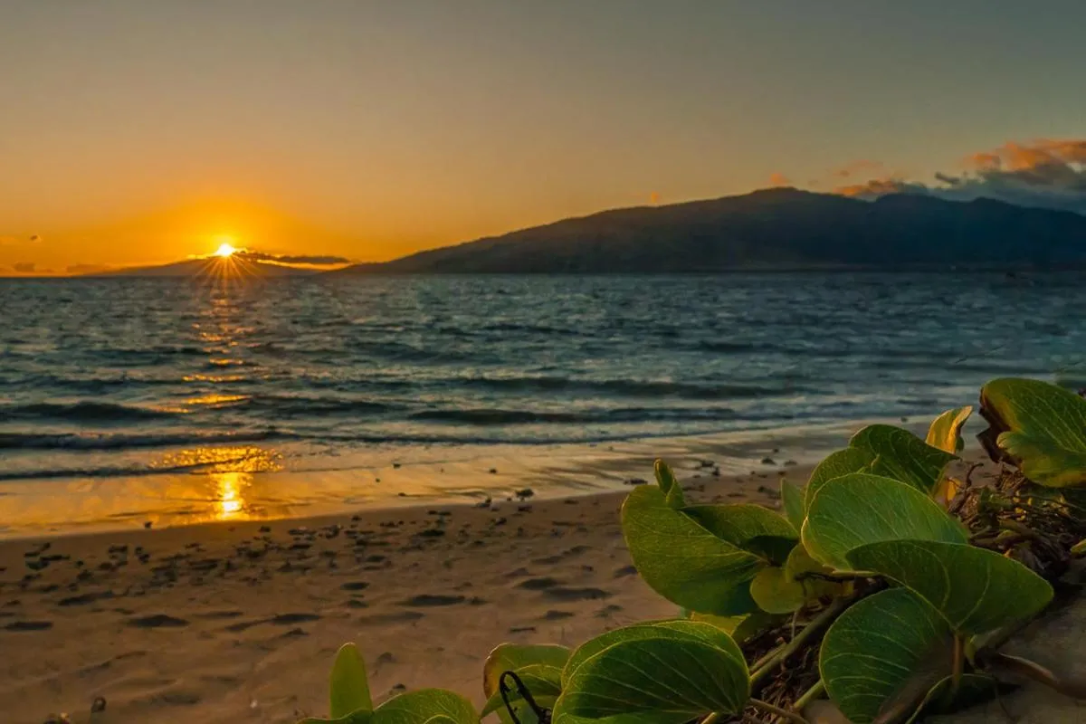 Image 2 of Maui Sunset A-322
