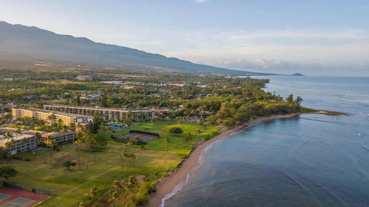 Image 4 of Maui Sunset A519