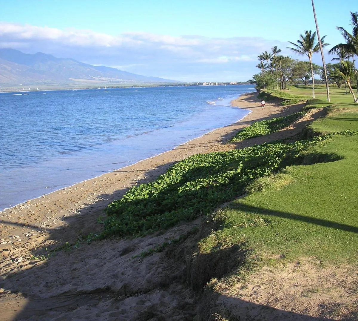 Image 3 of Maui Sunset B423