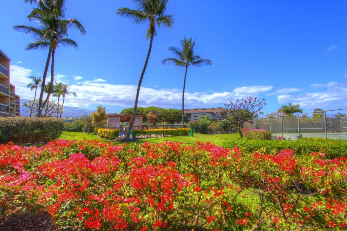 Image 1 of Maui Vista 1313