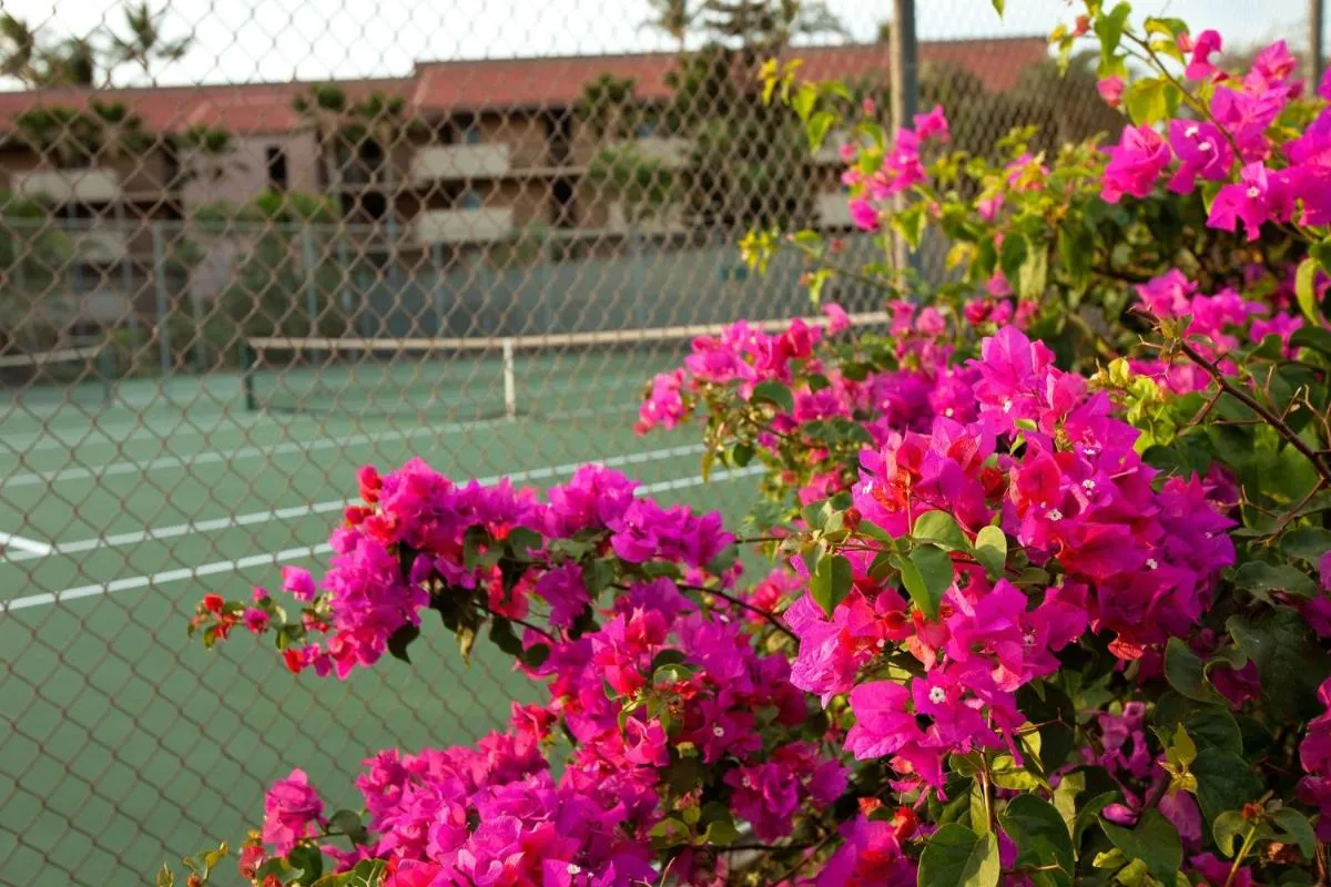 Image 6 of Maui Vista by Coldwell Banker Island Vacations