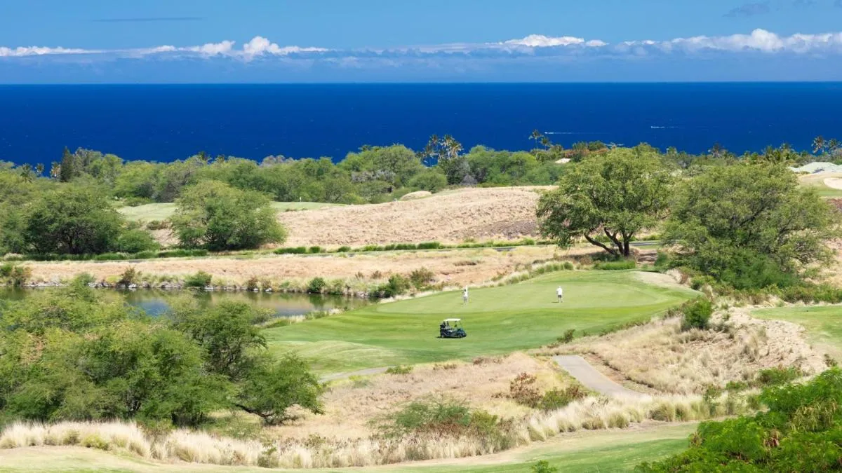 Image 2 of Mauna Kea Palms Ocean Views Stunning Mauna Kea Resort Best Beaches