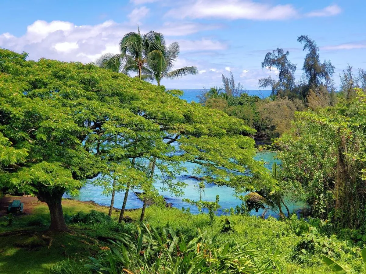 Image 2 of Mauna Loa Shores #405 condo
