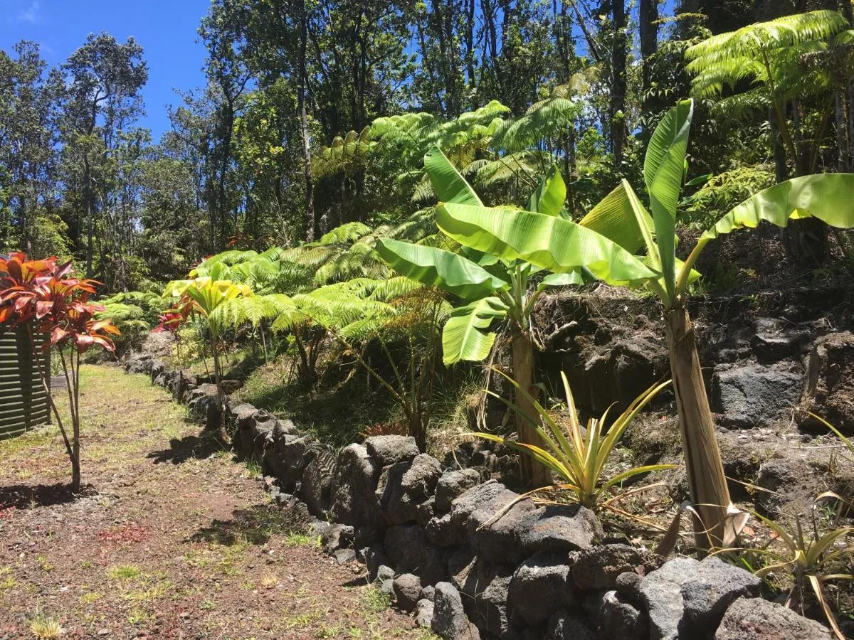 Image 2 of Mauna Nani