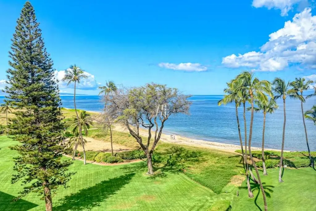 Image 5 of Menehune Shores Condos