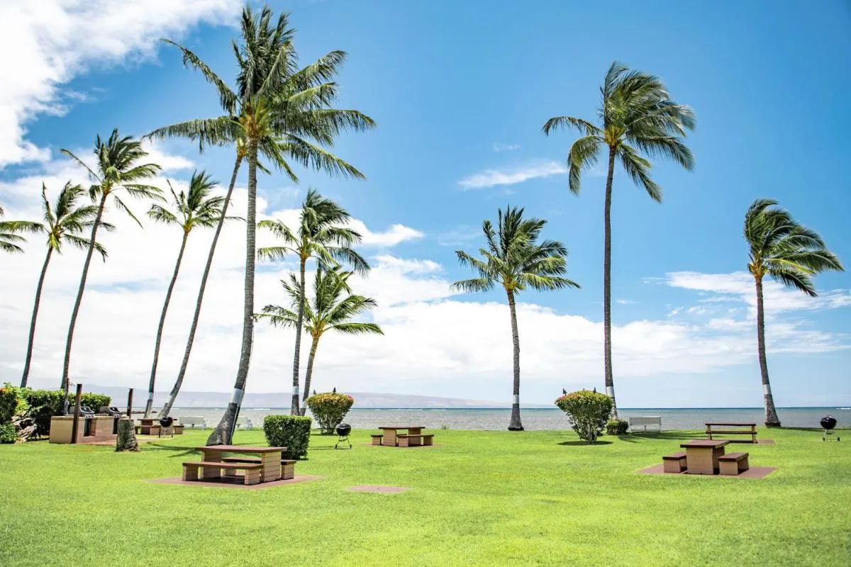 Image 6 of Molokai Shores