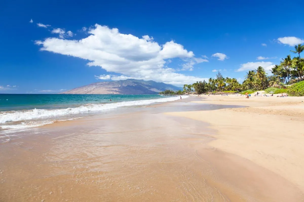 Image 2 of NEW Luxury Condo at Kameole Beach