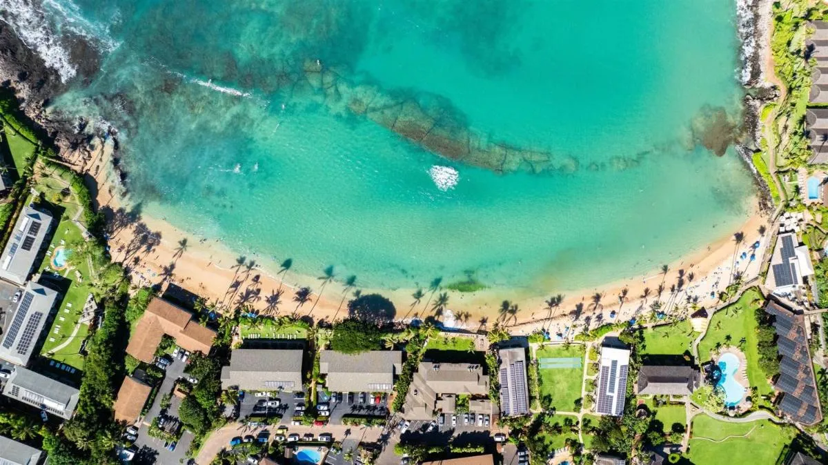 Image 3 of Napili Sunset Beach Front Resort
