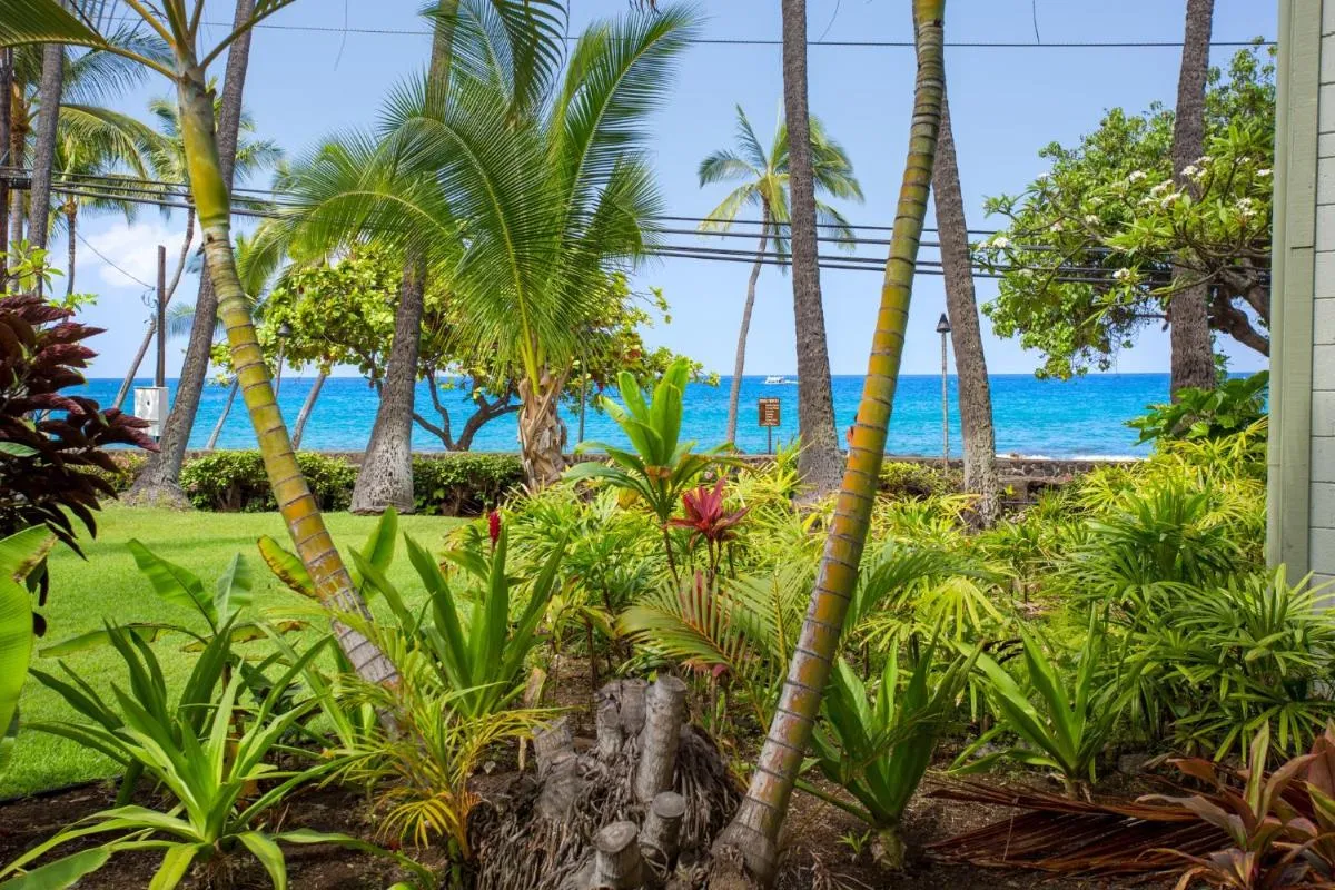 Image 6 of OUTSTANDING OCEANFRONT STUDIO – KONA ISLANDER INN CONDOS condo